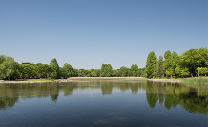 つくば市二の宮にある洞峰公園